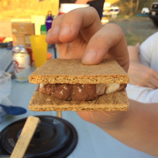 Burn Ban S'mores