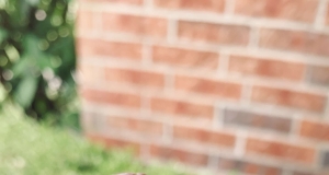 Simple Chocolate-Covered Almonds