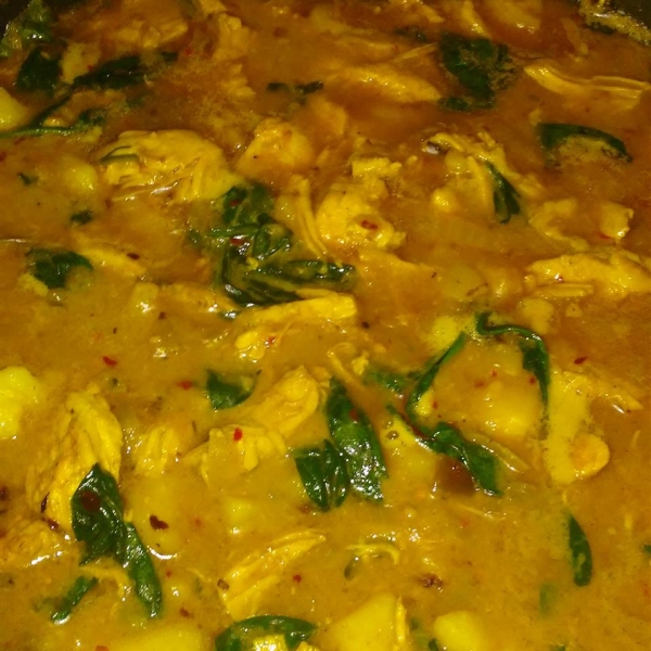 West African Chicken Stew
