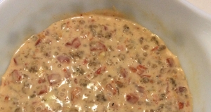 Velveeta Spicy Sausage Dip