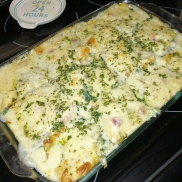 White Cheese Chicken Lasagna
