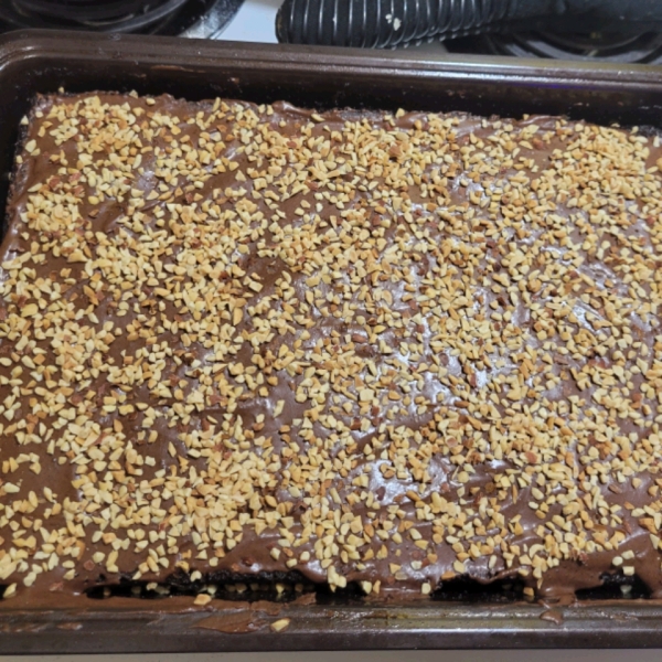 Dark Chocolate Sheet Cake with Dark Chocolate Frosting