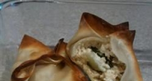 Baked Salmon Wontons