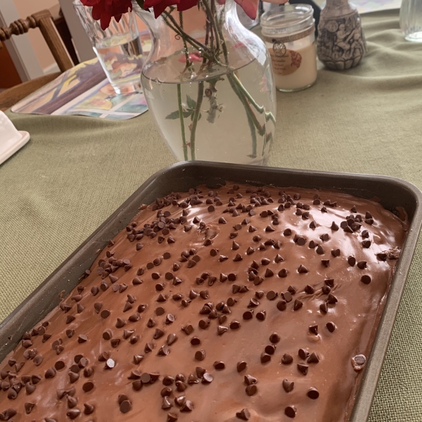 Sourdough Chocolate Cake