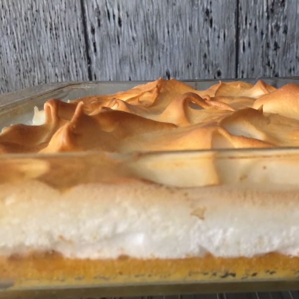 Yummy Squash Custard