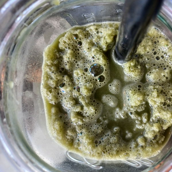 Frog Nog (Matcha Smoothie)