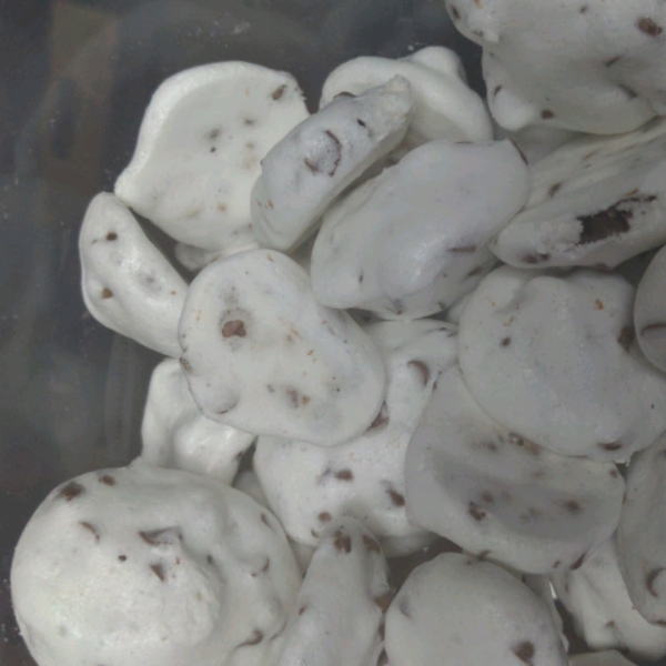 Mom's Chocolate Chip Meringues