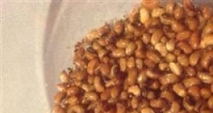 Deep Fried Black Eyed Peas