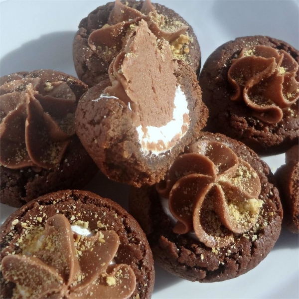 Chocolate Frosted Marshmallow Cookies