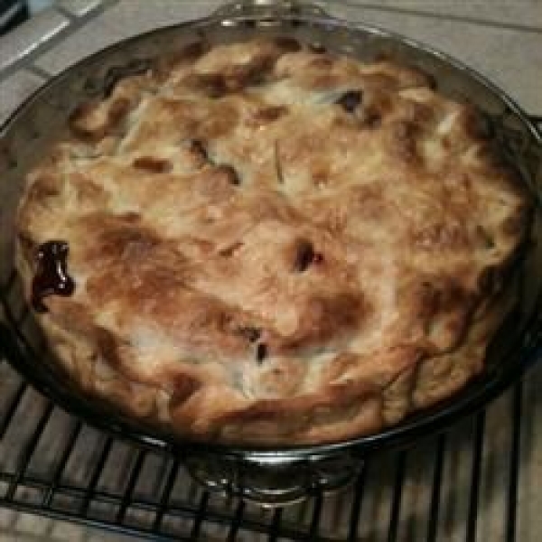 Blackberry-Chocolate Chip Pie