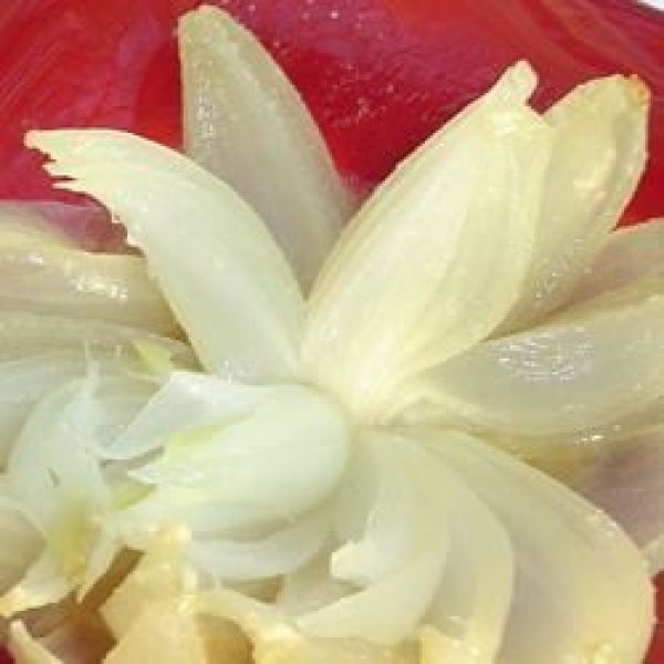 Grilled Onion Blossom