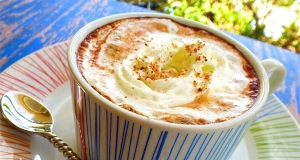Mayan Mocha Powder