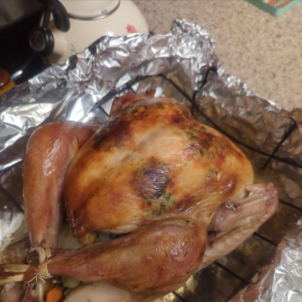 Juicy Thanksgiving Turkey