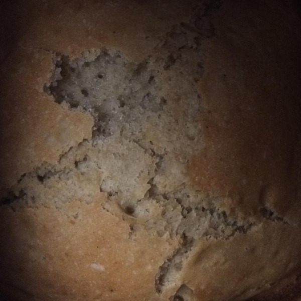 Oatmeal Applesauce Bread