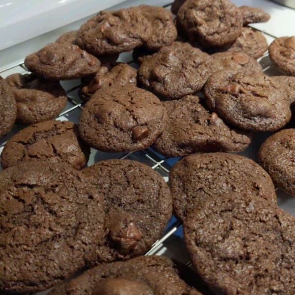 Double Chocolate Mint Cookies
