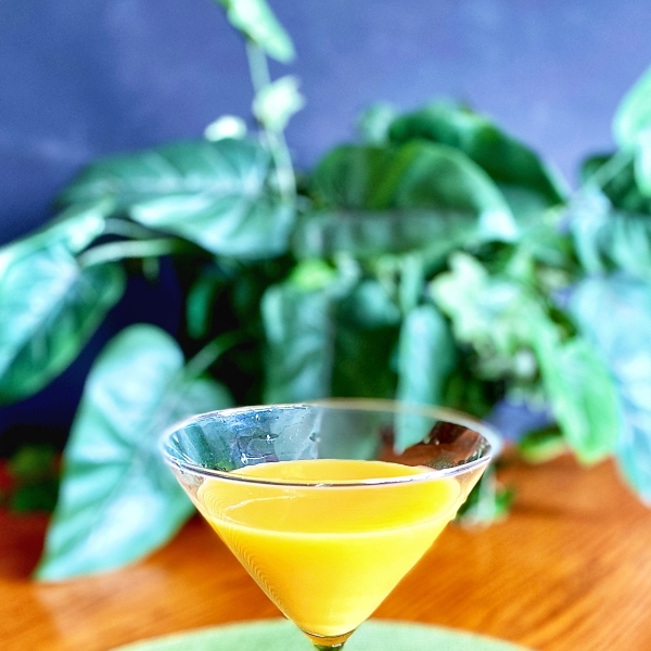 Orange Cream Delight (Screwdriver)
