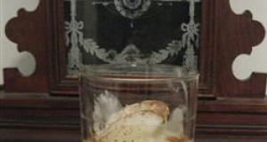 Early American Eggnog