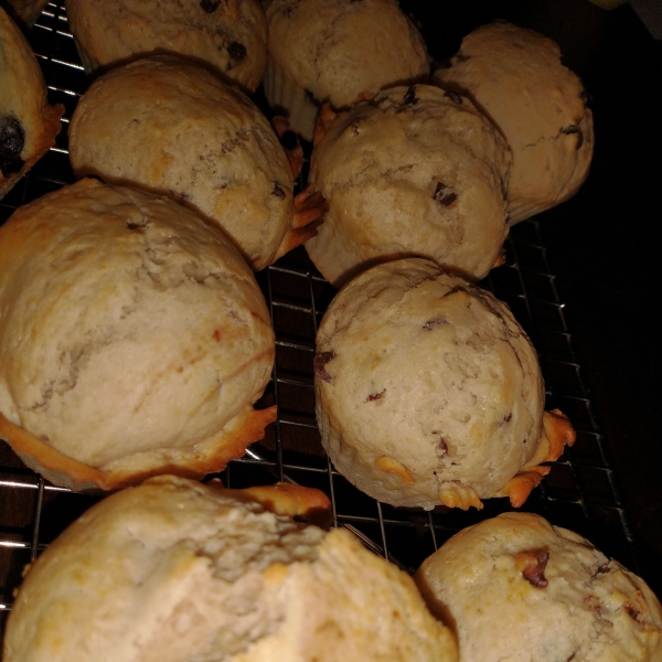 Chocolate Chip Muffins