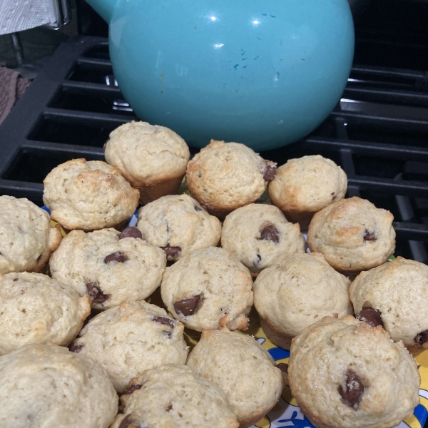 Chocolate Chip Muffins