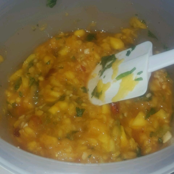 Spicy Mango Sauce