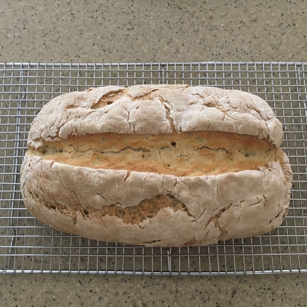 Mikey's Beer Bread