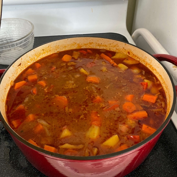 Savory Vegetable Beef Stew