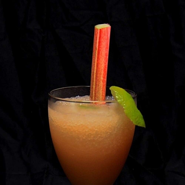 Refreshing Summer Rhubarb Slushy