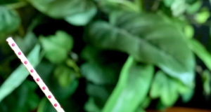 Big Bunch Punch (Non-Alcoholic)