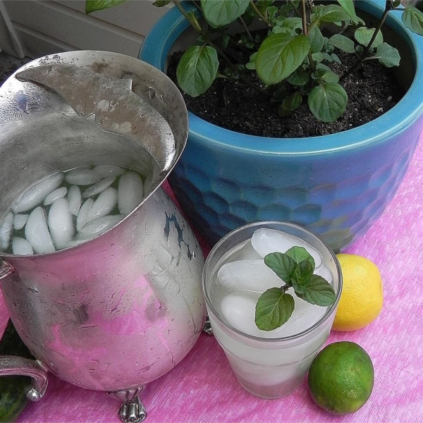Refreshing Cucumber Lemonade
