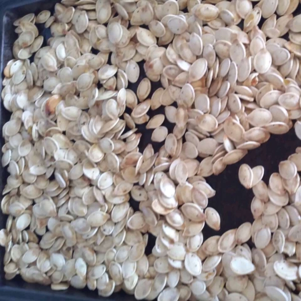 Savory Toasted Pumpkin Seeds
