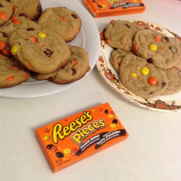 Chocolate Halloween Cookies