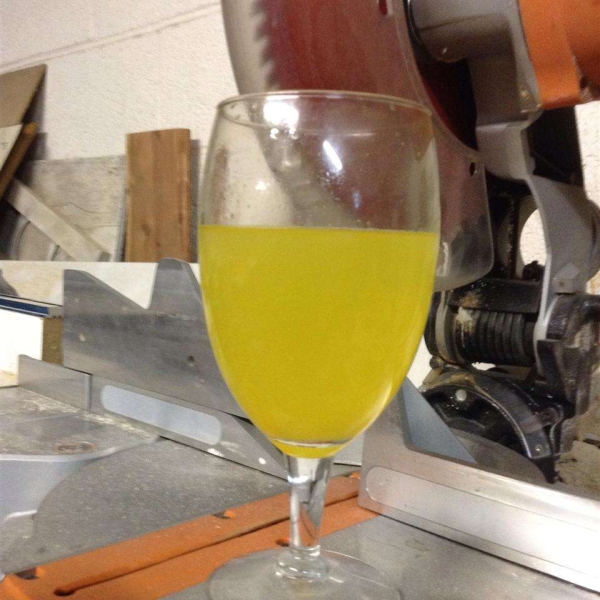 Orange Crush! Fresh Squeezed Orange and Vodka Cocktail