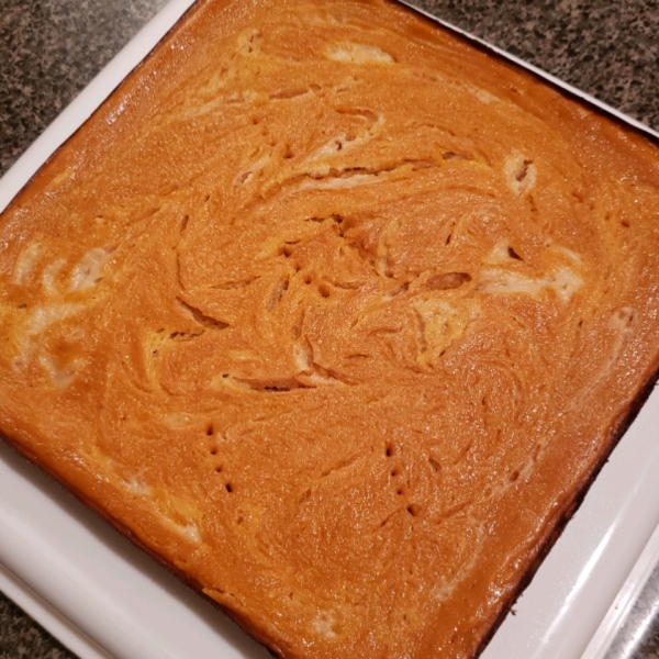 Pumpkin Swirled Cheese Cake