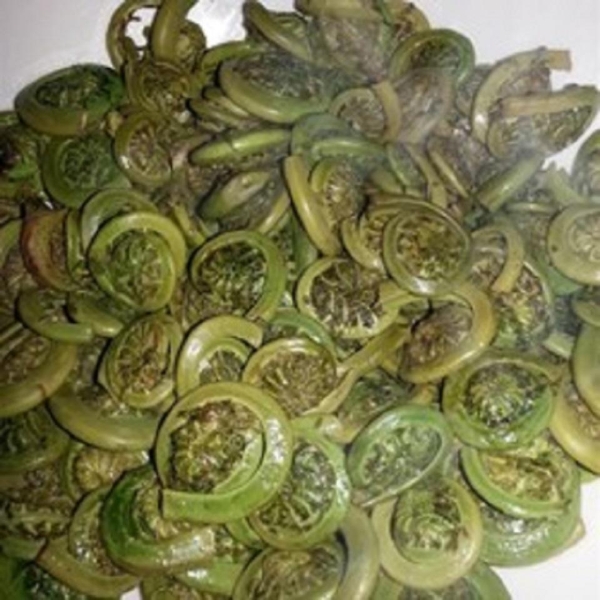 Country Sauteed Fiddleheads