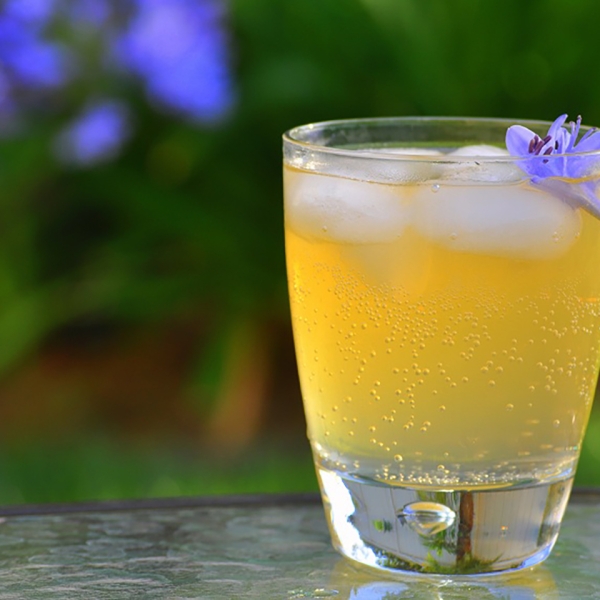 Orange Fizz