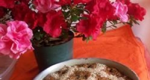 Whole Wheat Apple Cake