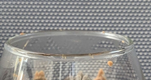 Easy Faux Chocolate Mousse