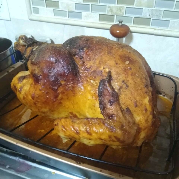 Spicy Roast Turkey
