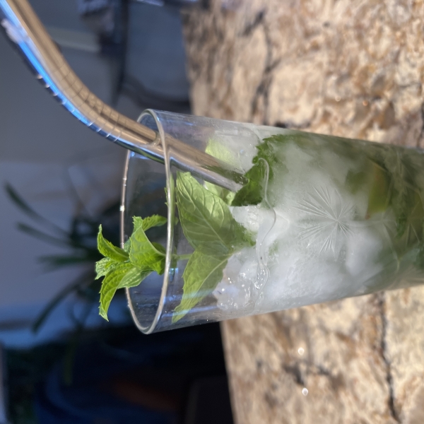 The Real Mojito