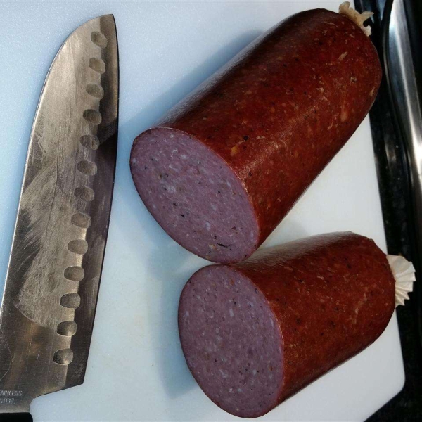 Deer Bologna