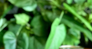 Frozen Hot Chocolate with Evaporated Milk