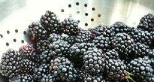 BJ's Easy Blackberry Cobbler