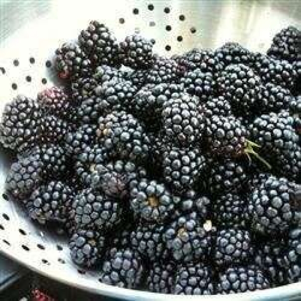 BJ's Easy Blackberry Cobbler