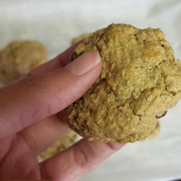 Gluten-Free Chocolate Chip Cookies with Ground Oats