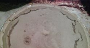 Navy Bean Pie