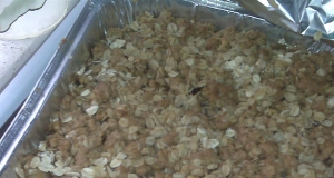Apple Oatmeal Bars