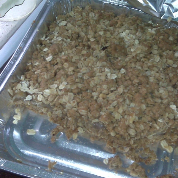 Apple Oatmeal Bars