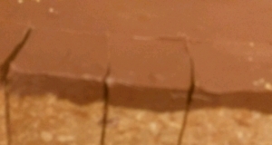 No-Bake Chocolate Peanut Butter Bars