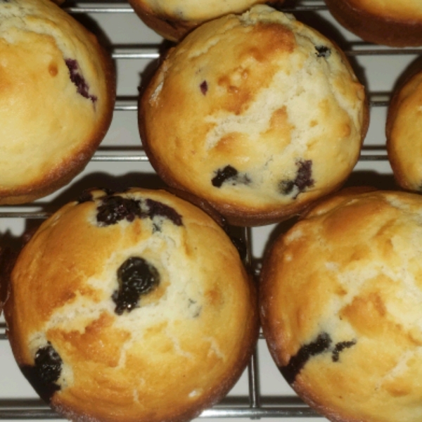 Easy Blueberry Muffins