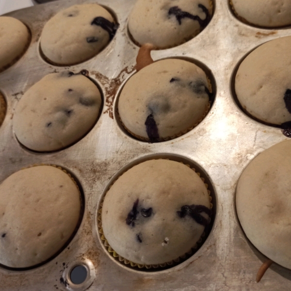 Easy Blueberry Muffins